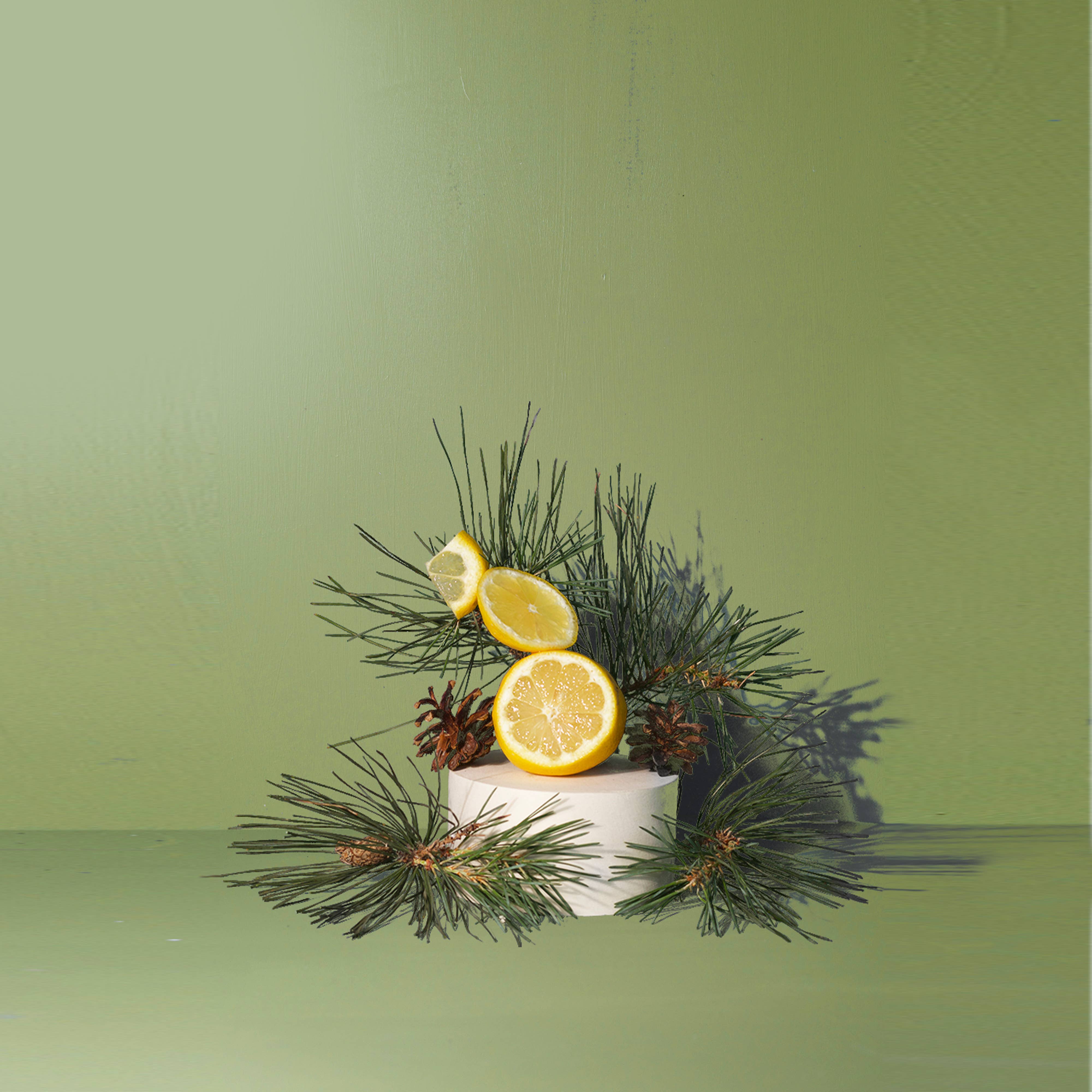 Fir Needle Large Candle - FALL / HOLIDAY