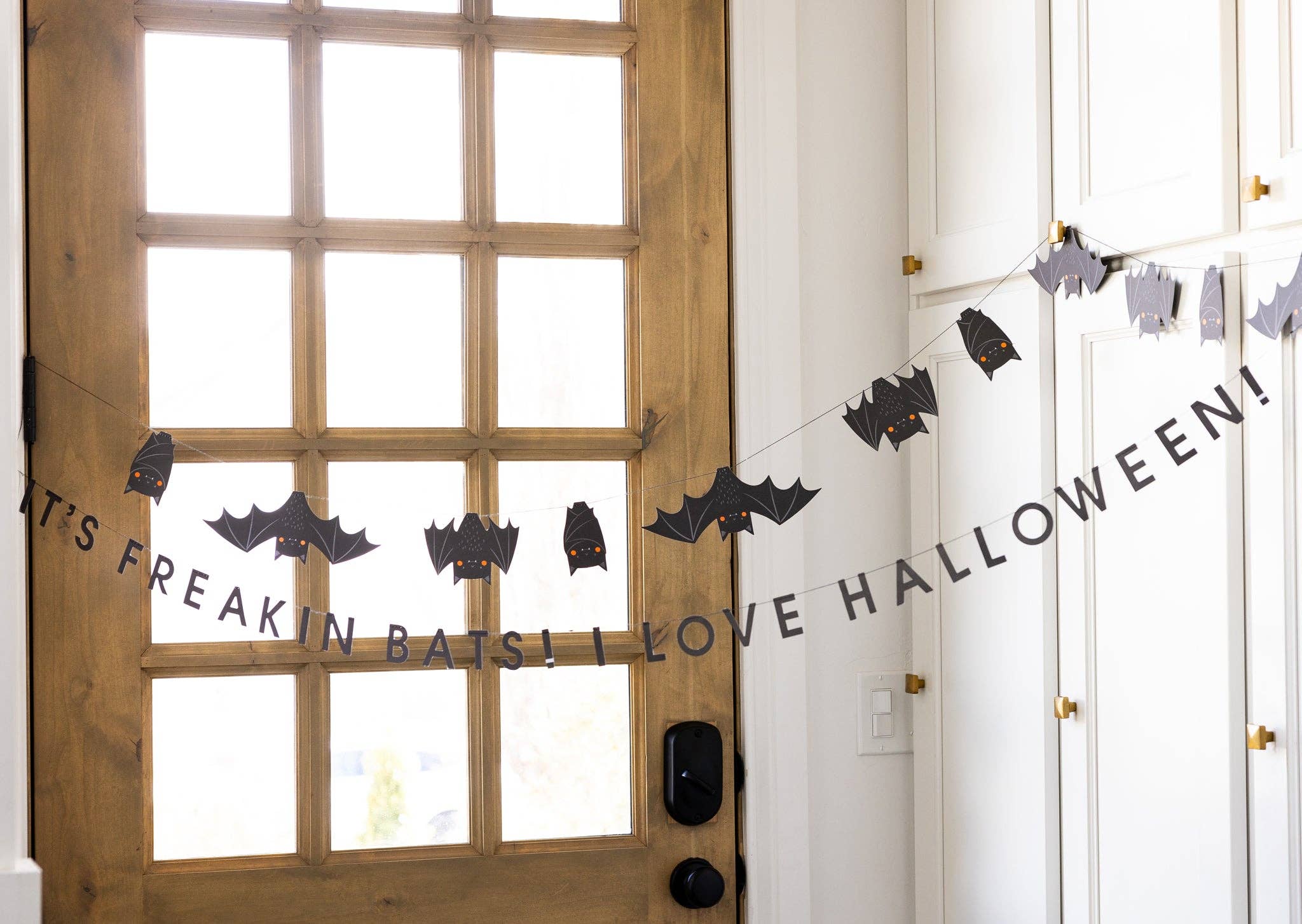 Freakin' Bats Bat Ban