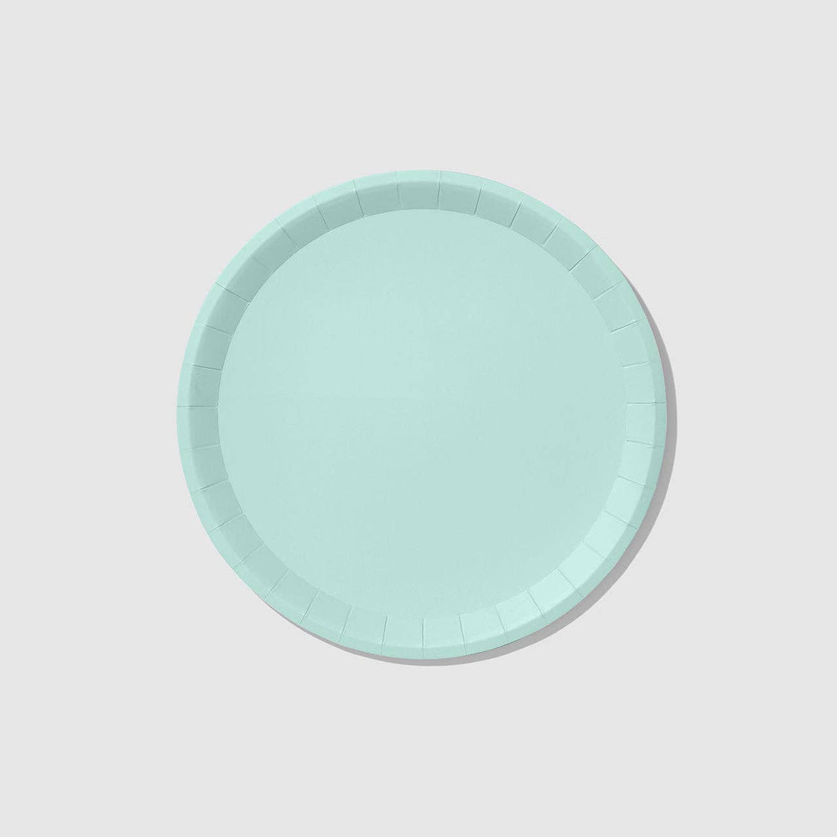 Mint Classic Large Plates (10 per pack)
