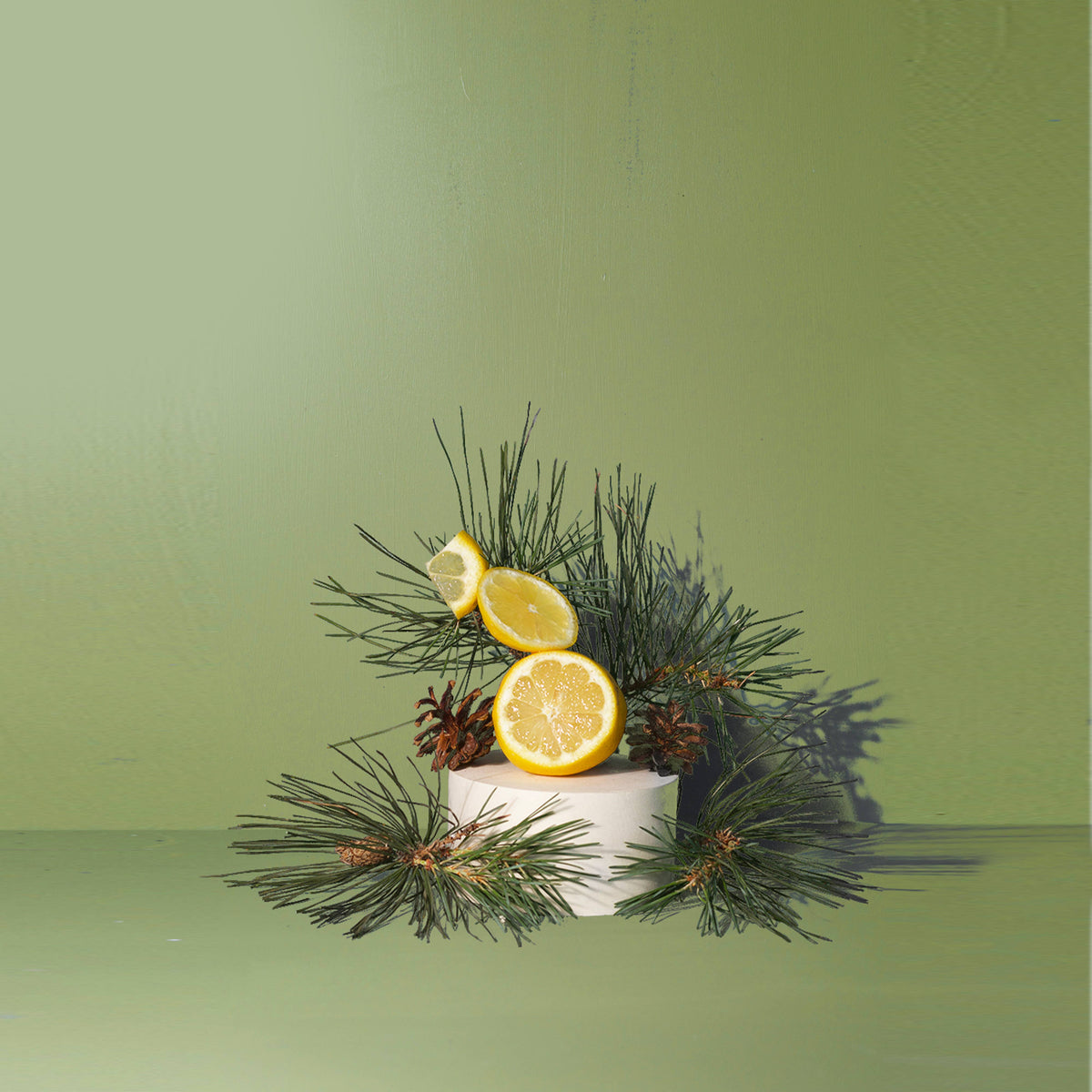 Fir Needle Large Candle - FALL / HOLIDAY