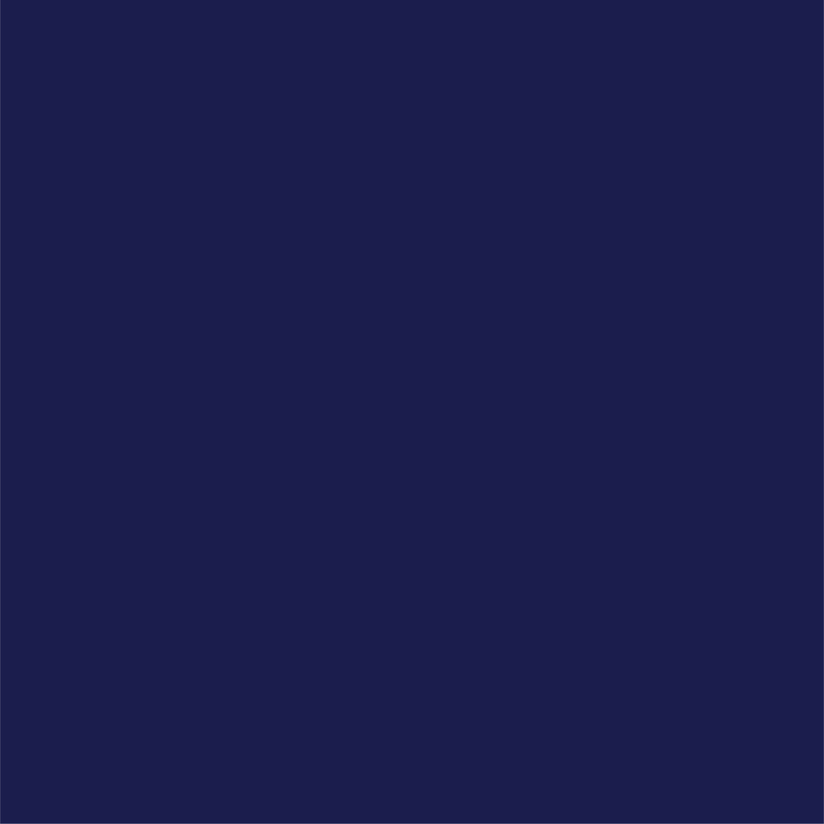 Navy Classic Large Plates (10 per pack)