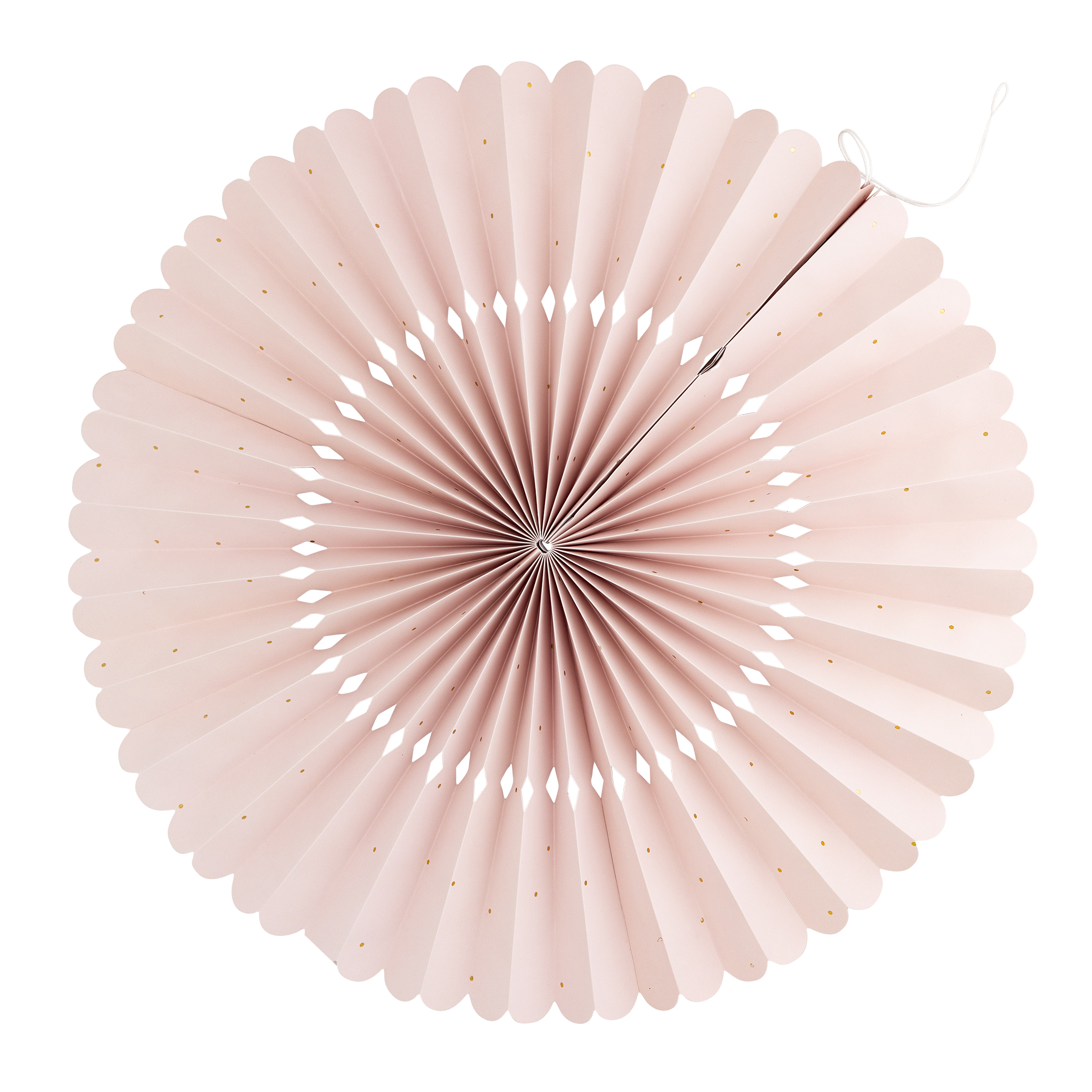 SEA1001 - Under the Sea Fan Set