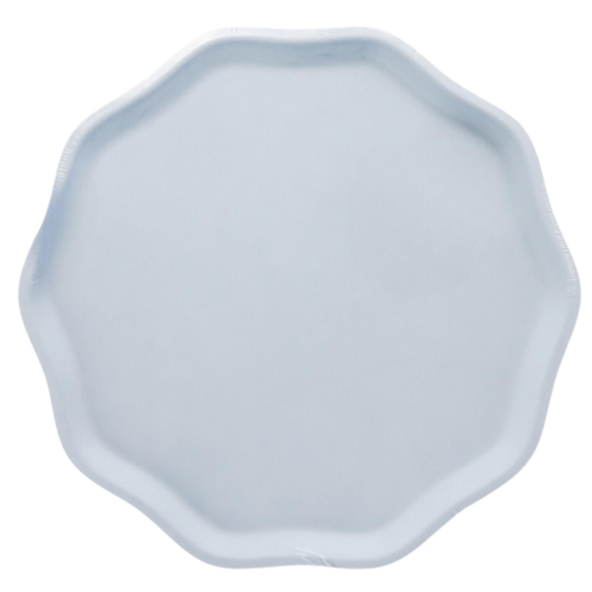 SKY BLUE COMPOSTABLE DINNER PLATES