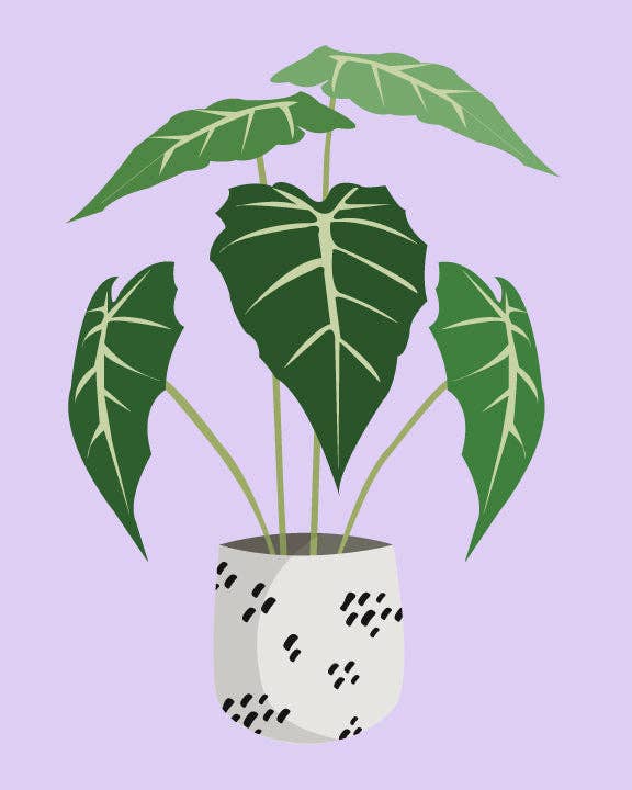 Just Leafy